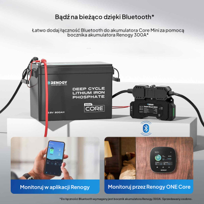 AKUMULATOR RENOGY LiFePO4 Core Mini 12V 200Ah