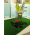 WYCIERACZKA Green Flock 40 x 60 zielona